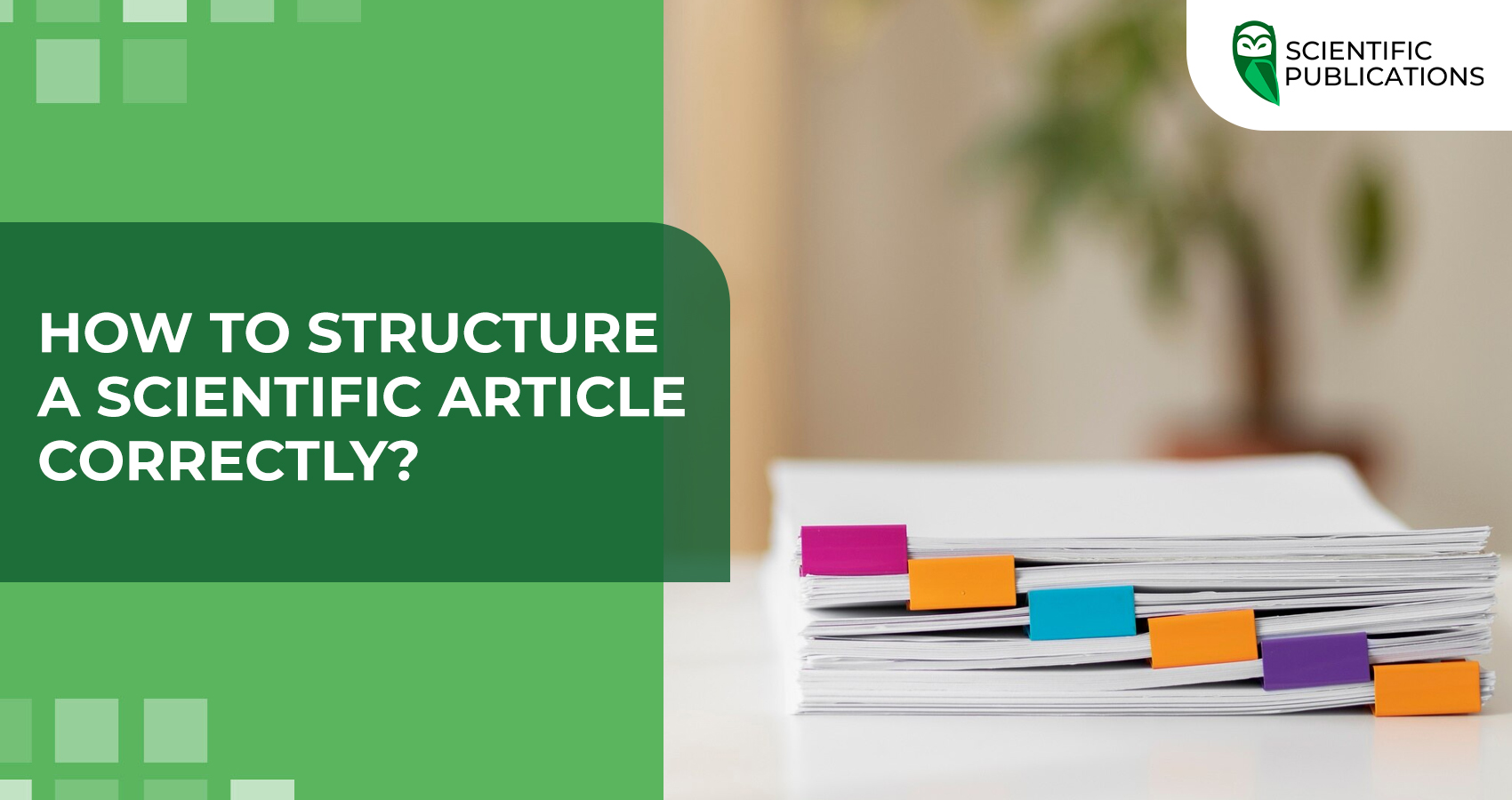 How to structure a scientific article correctly? 