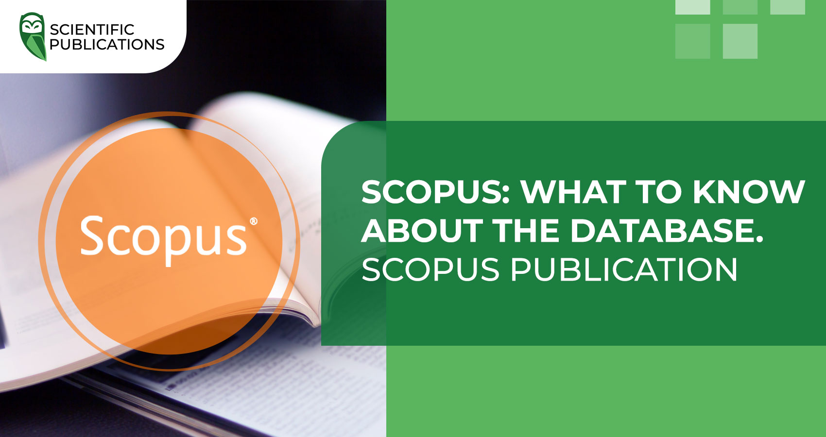 Scopus: What to know about the database. Scopus Publication