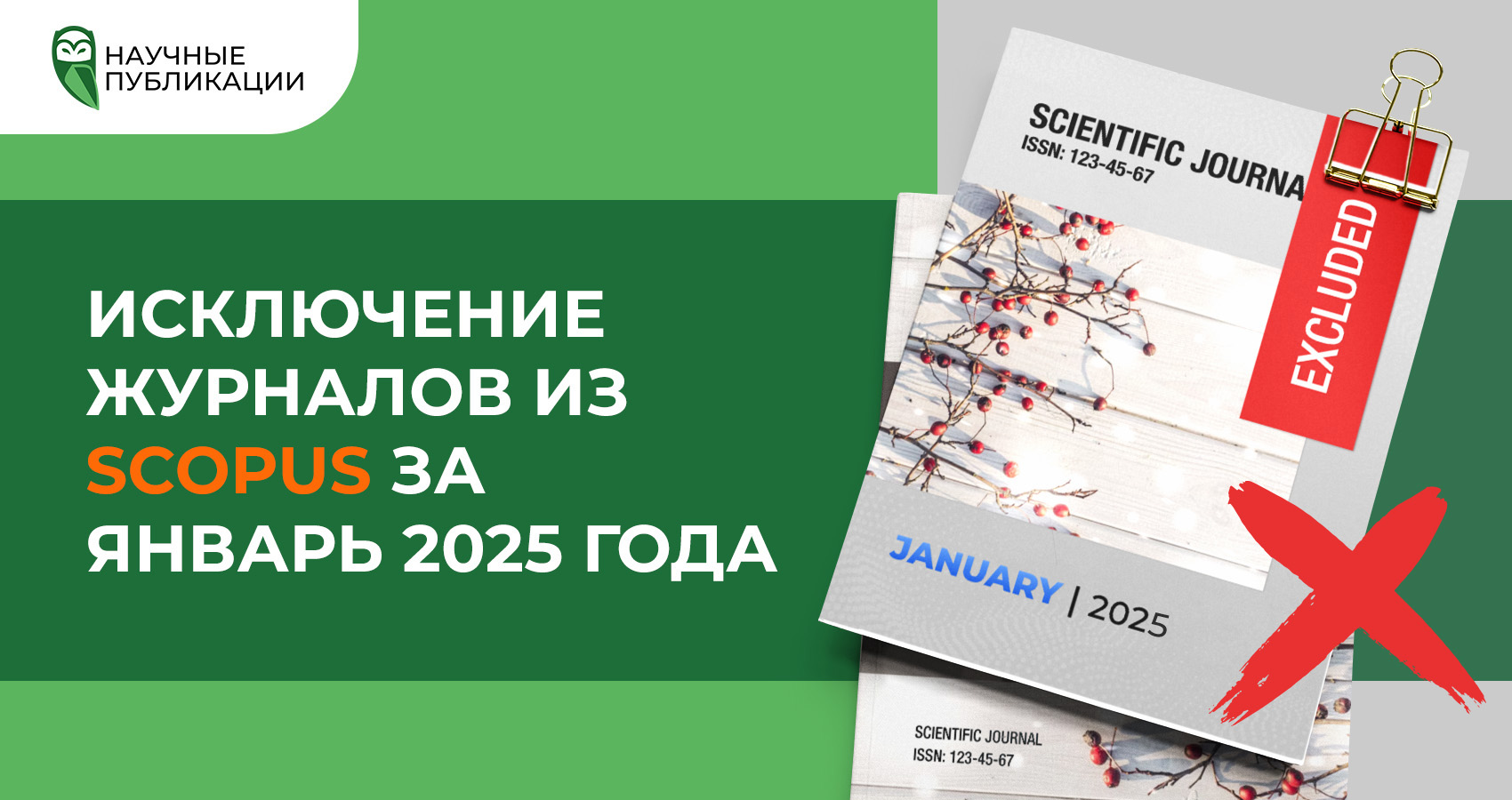 Исключение журналов из Scopus за январь 2025 года