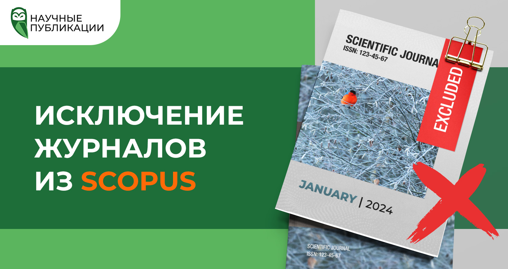 Исключение журналов Scopus за январь 2024 года