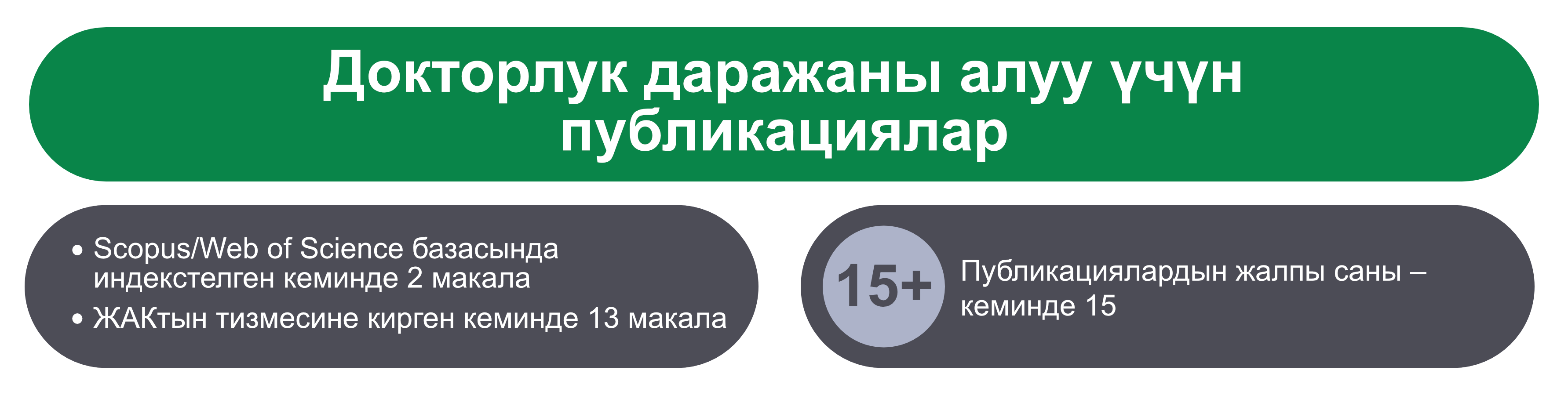 Докторлук даражаны алуу үчүн публикациялар