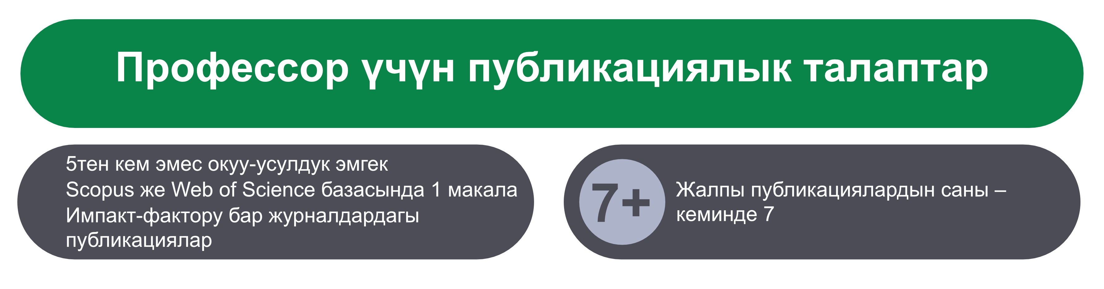 Профессор наамын алуу үчүн публикациялык талаптар