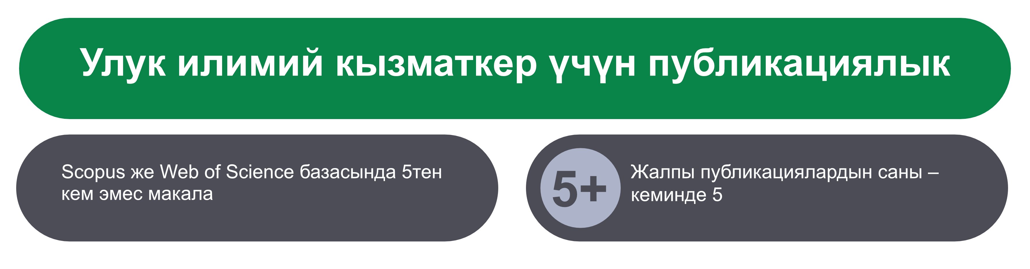 Улук илимий кызматкер үчүн талаптар