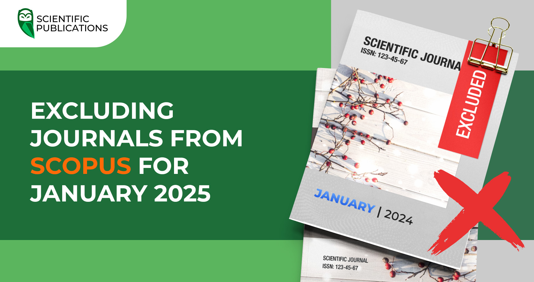 Excluding journals from Scopus for January 2025