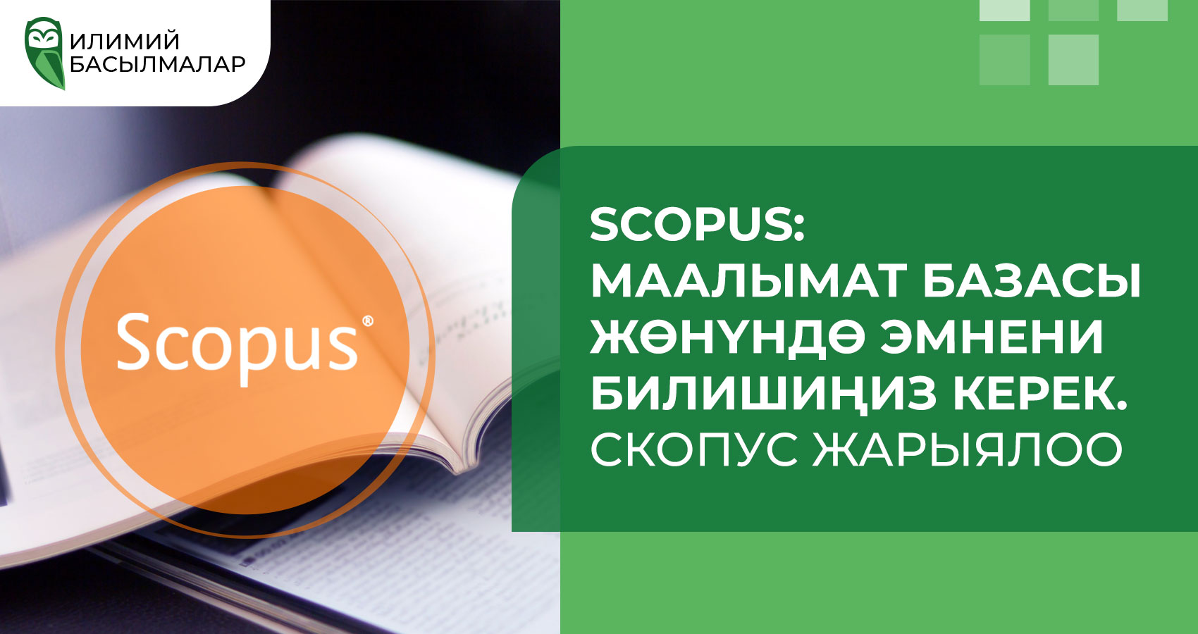 Scopus: маалымат базасы жөнүндө эмнени билишиңиз керек. Скопус Жарыялоо