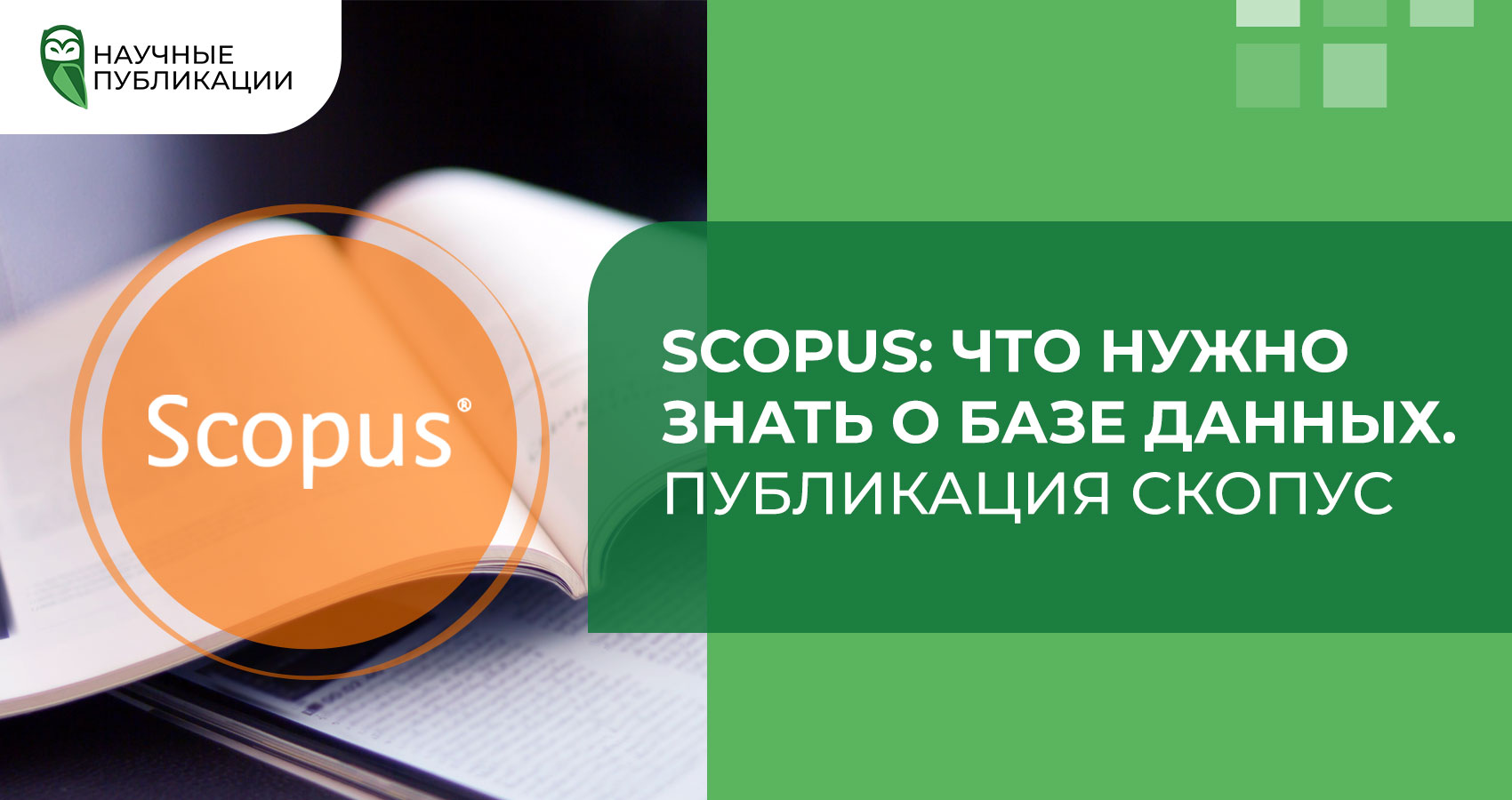 Scopus: что нужно знать о базе данных. Публикация Скопус