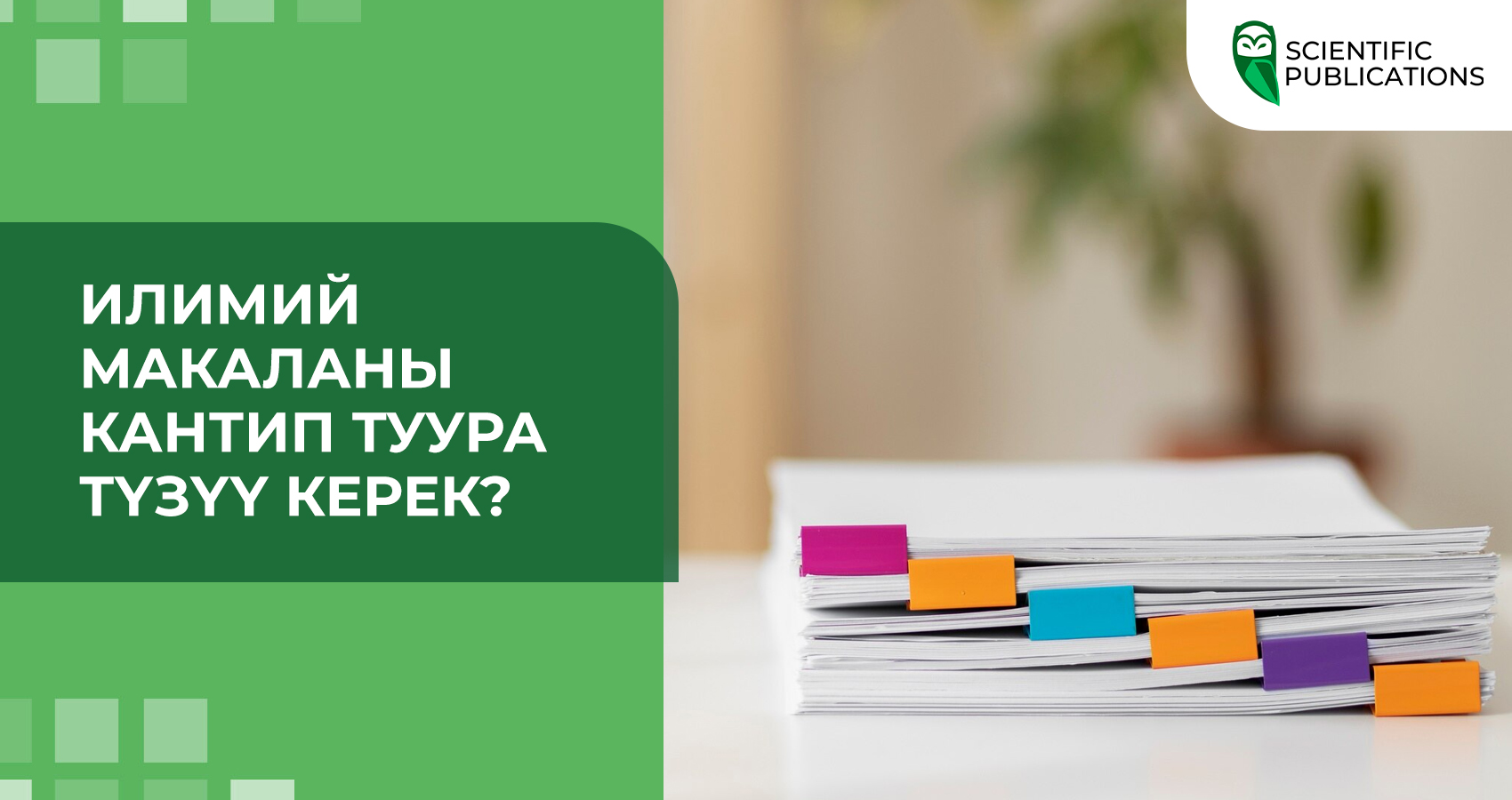 Илимий макаланы кантип туура түзүү керек? 